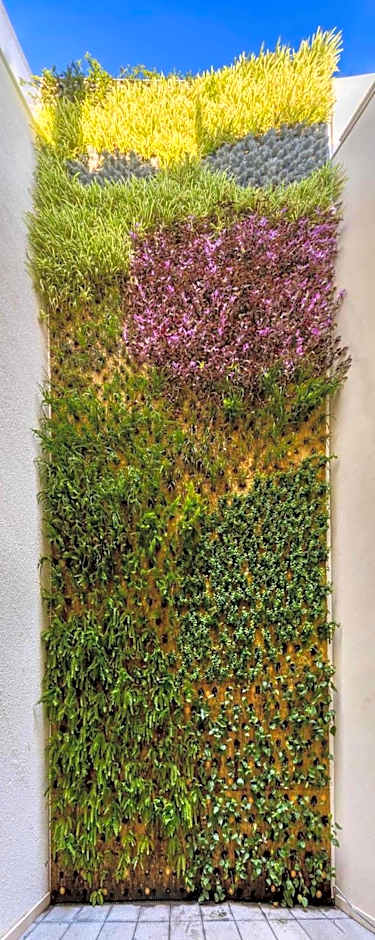 Nature by Raidom