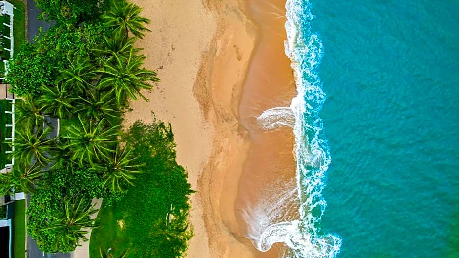 Trinity Beach Pacific