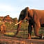 Victoria Falls Safari Suites