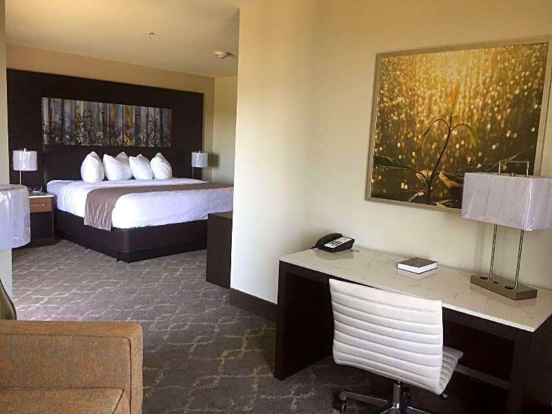 Aiden by Best Western Warm Springs Hotel and Event Center