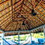 Carri Surf Studio