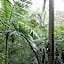 Oskar's Rain Forest Retreat