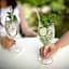 Erholungshotel Kaltenhauser