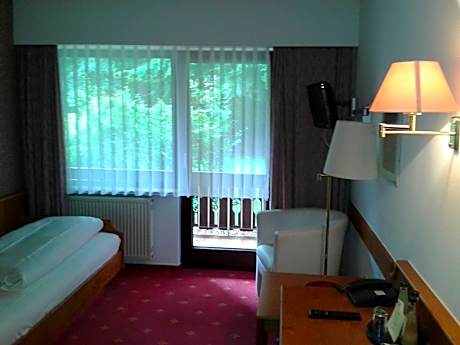 Single Room with Balcony and Park View