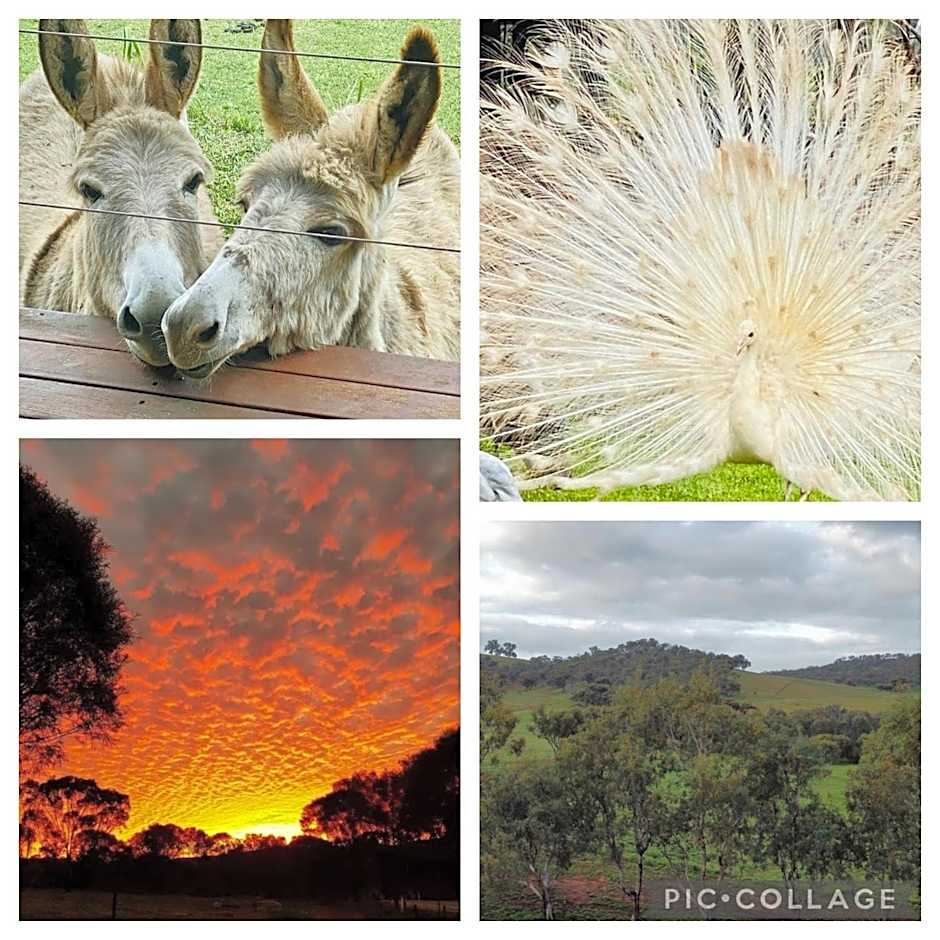 Sandalwood Downs Fabulous Farm Stay TOODYAY
