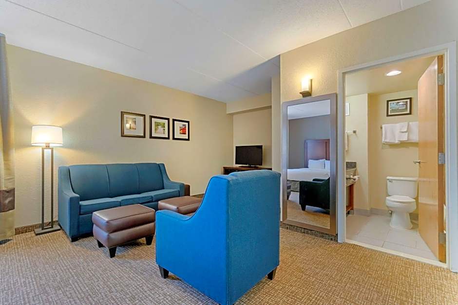 Comfort Inn Mechanicsburg - Harrisburg South