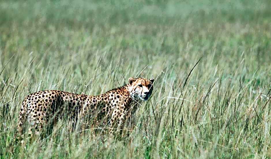 Ololo Safari Lodge & Farm