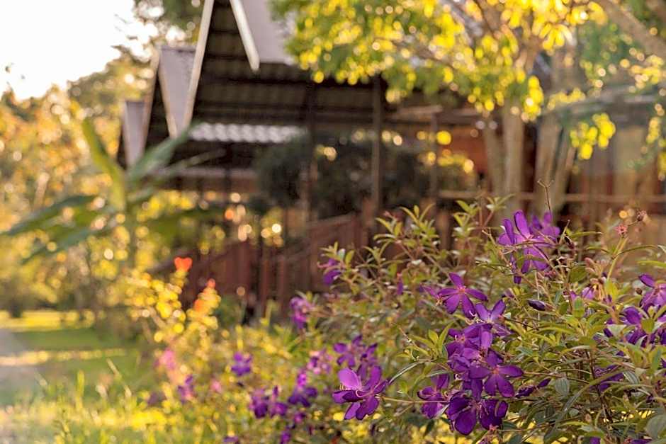 Chiang Dao Reset