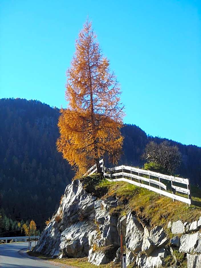 Alpengasthof Zollwirt