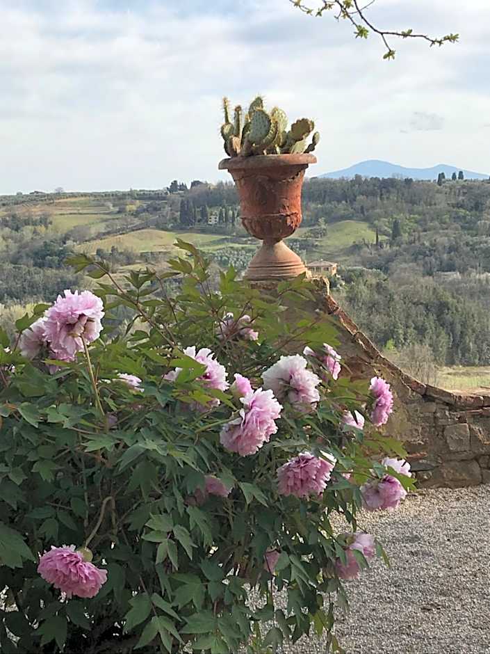 Borgo La Grancia