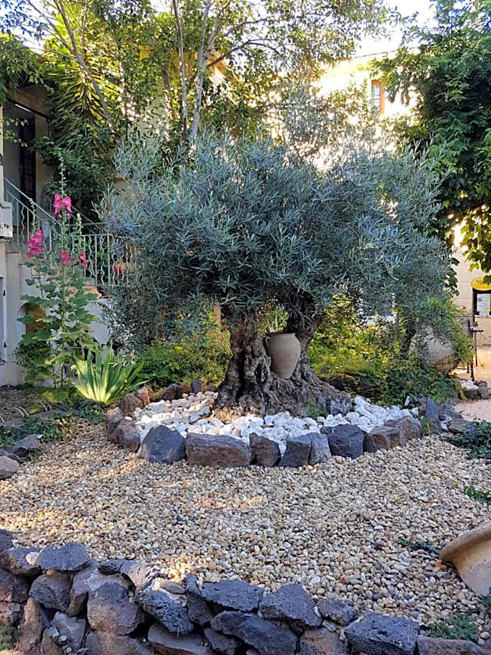 Les jardins du Patriarche Hôtel