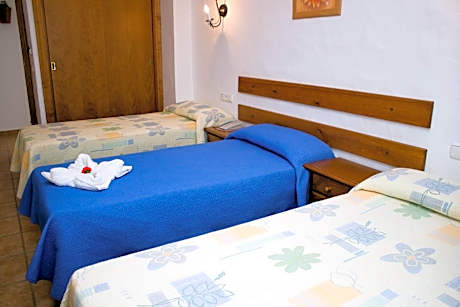 Double or Twin Room with Extra Bed