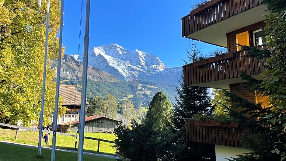 Hotel Bellevue-Wengen - Best view in town!