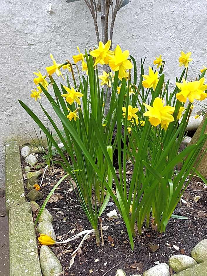 B&B Wladimir Studios