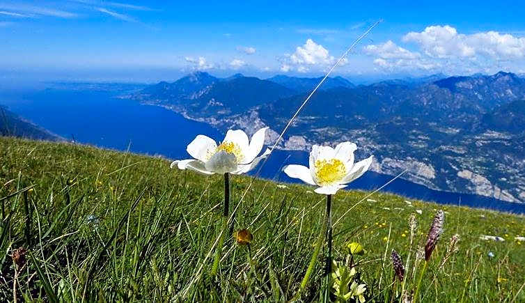 Hotel Monte Baldo