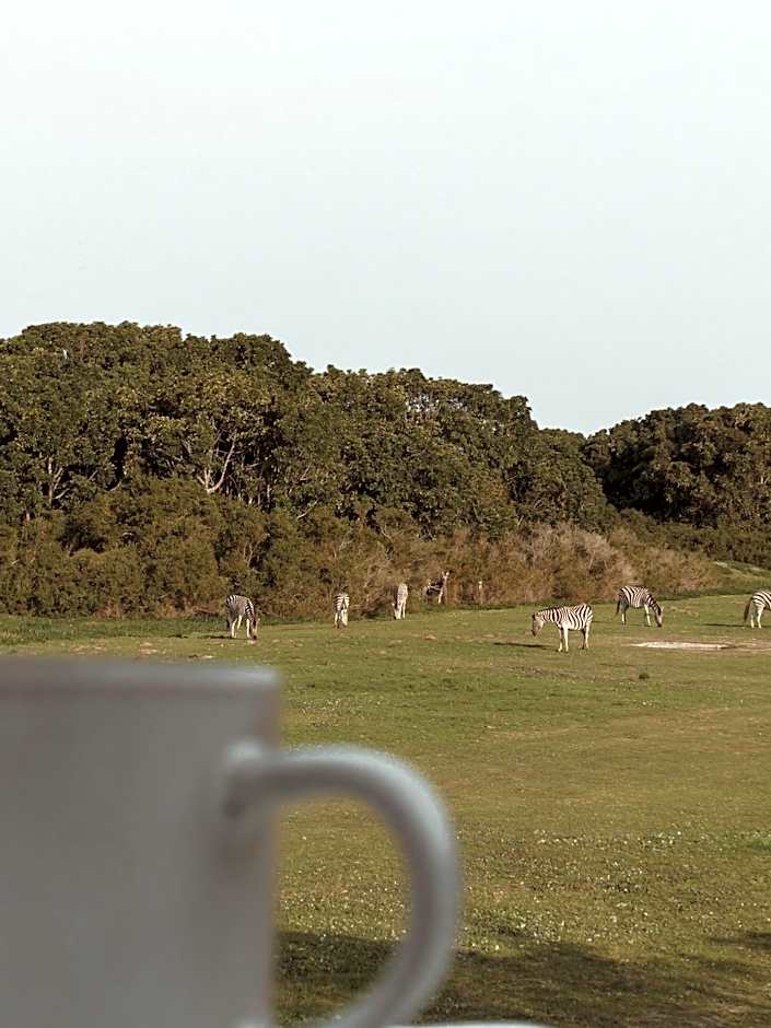Stanley Island