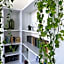 Cabo Verde Boutique Hotel