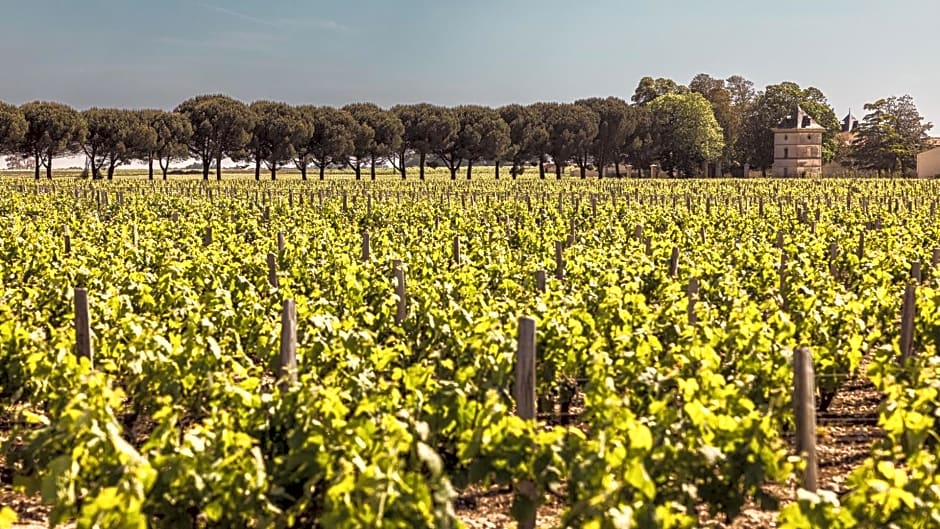 Château Laffitte Carcasset