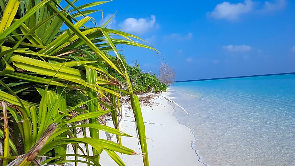 Ithaa Beach Maldives