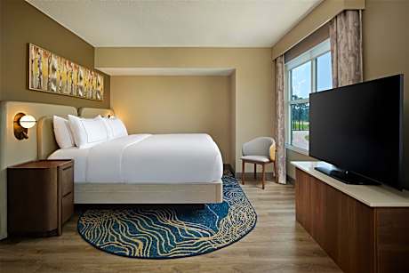 1 King Bed Two Room Suite