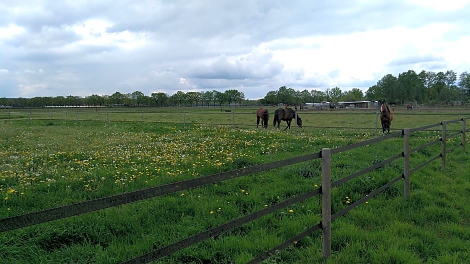 B&B Het mooie uitzicht