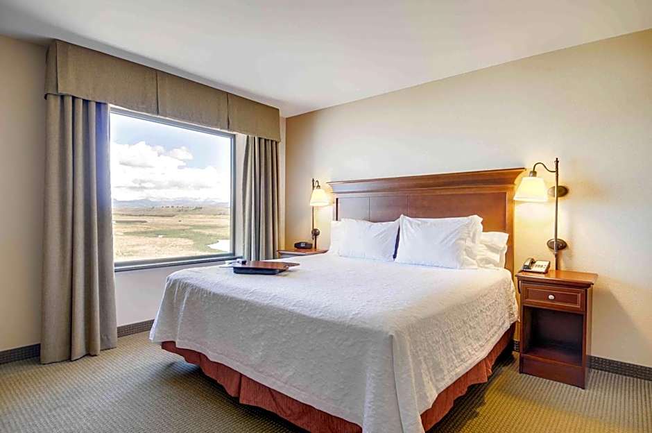 Hampton Inn By Hilton & Suites Pinedale