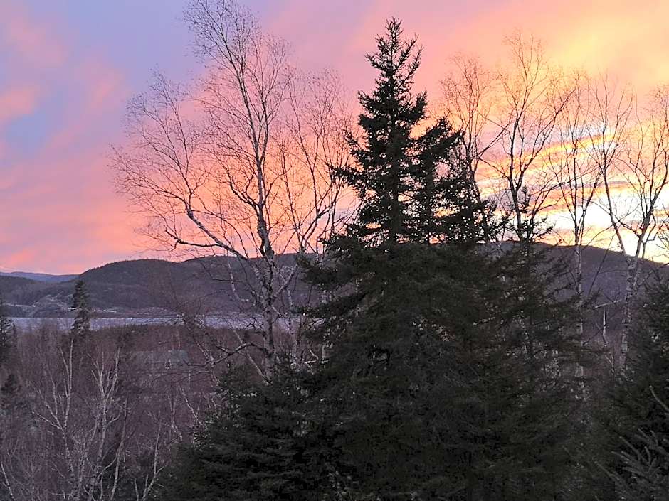 Au Cachalot Caché le gîte hôtel