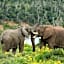 Sibuya Game Reserve and Lodge