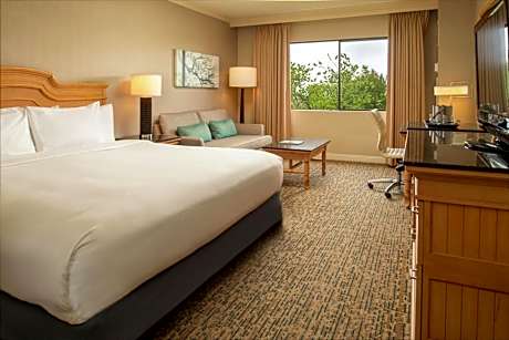 King Room with Peloton Bike