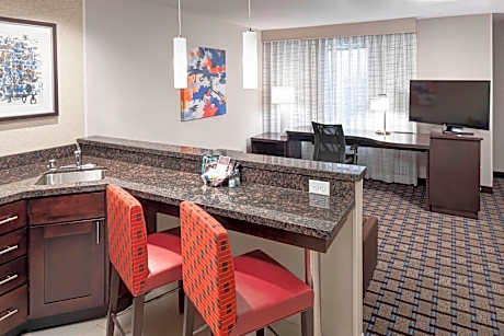 Studio Suite, 1 King Bed with Sofa bed (Hearing Accessible) (1 King Bed and 1 Double Sofa Bed)