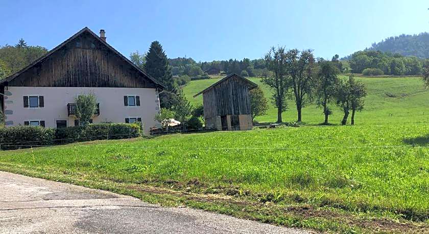 L'ÉPERVIER BLANC