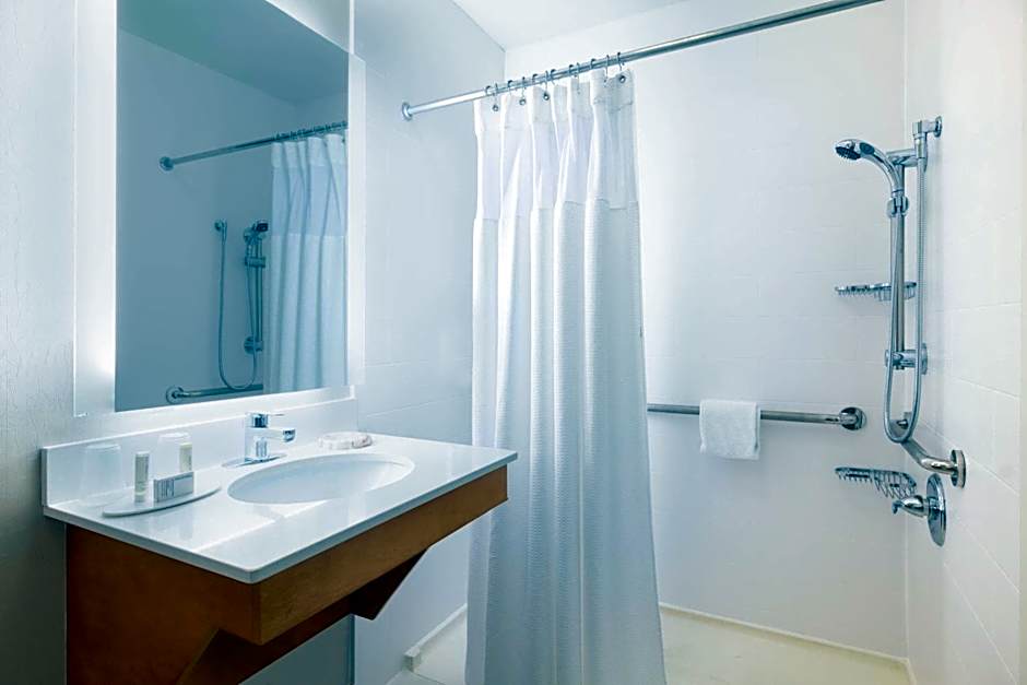 SpringHill Suites by Marriott Williamsburg