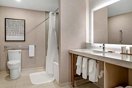 1 King Bed, Mobility and Hearing Accessible