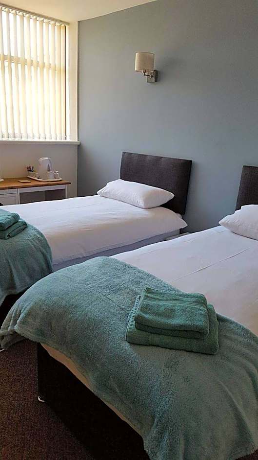 The Bear On The Square