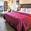 Cedars Inn