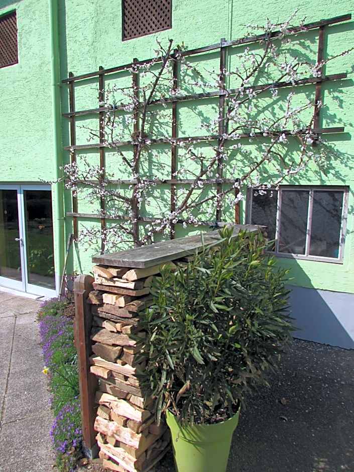 Landgasthaus Lehnerwirt