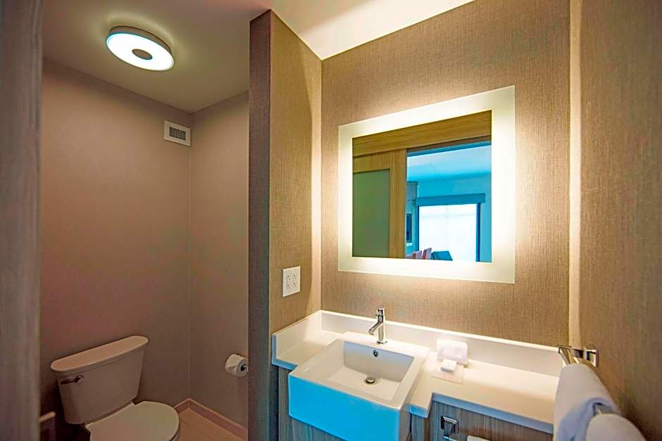 SpringHill Suites by Marriott Athens Downtown/University Area