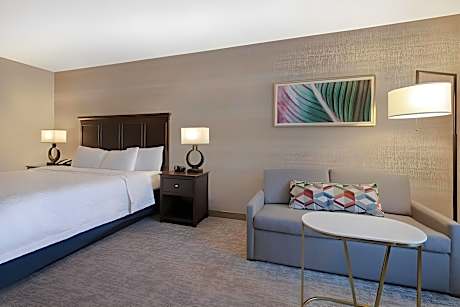 1 King Studio Suite Hearing Impaired Nosmoke Sofabed/wetbar/microwave/fridge/free Wi-fi 32 In Hdtv/h