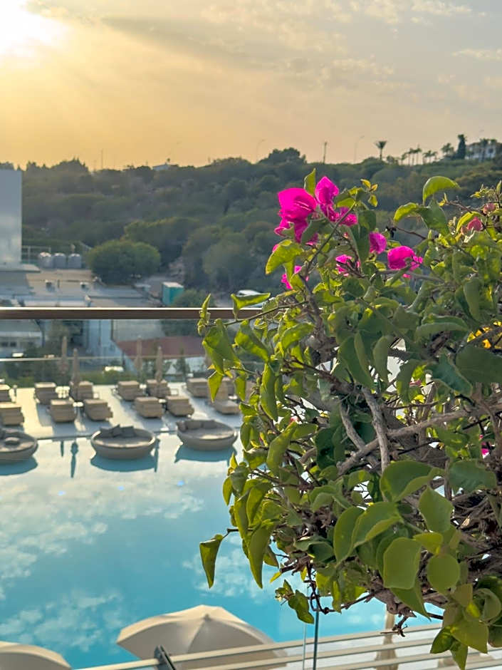 Amarande (Adults Only)