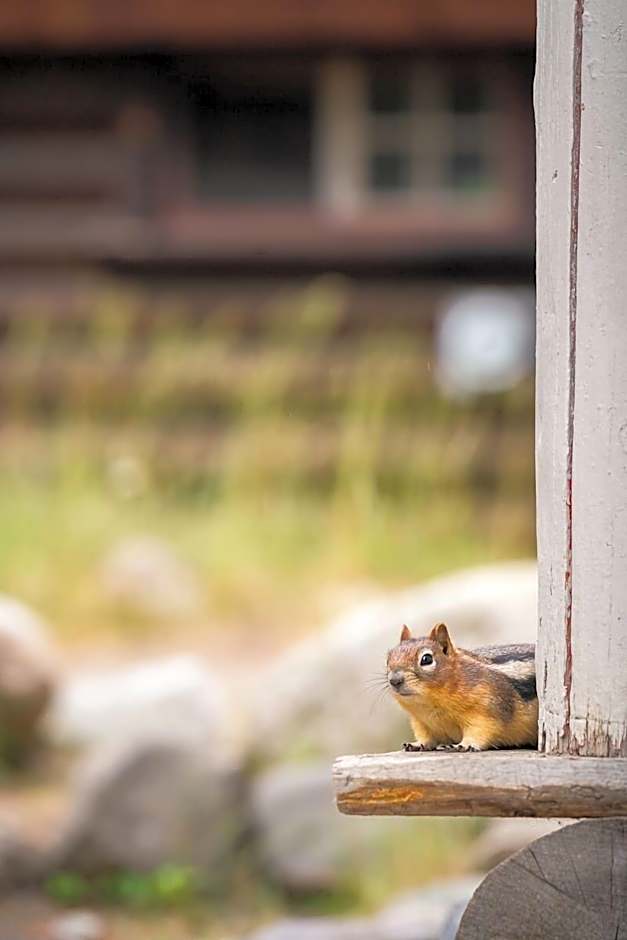 Storm Mountain Lodge Cabins Dining