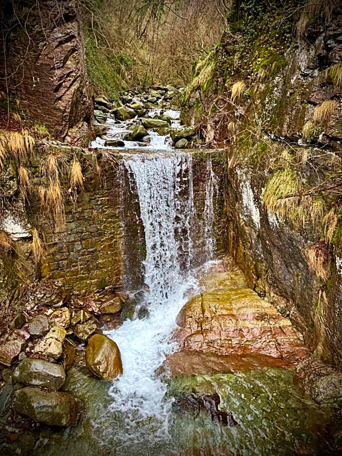 Viandanti, Artisti e Sognatori