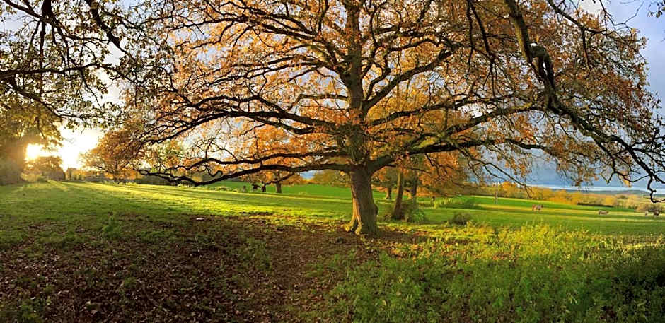 Chambre d'hotes Ferme de la Forlonge