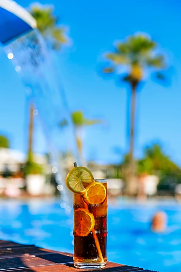 Apartamentos Honorio - Pool and Garden