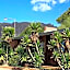 Copper Mountain Motel