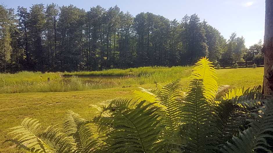 Agroturystyka Perła Gaju