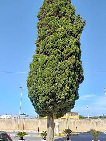 L'Albero bello Holiday