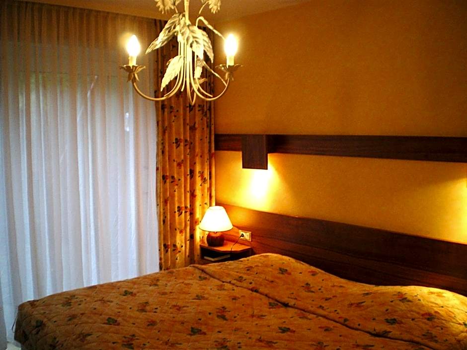 Hotel des Vosges