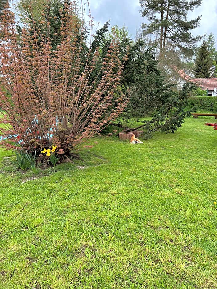 Hotel Hirsch Fluorn Schwarzwald