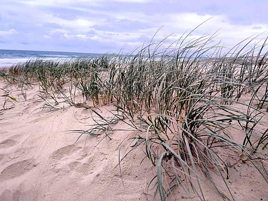 Pacific Palms Motor Inn