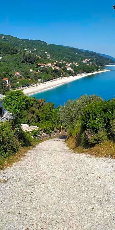 SunRiseStudiosPapanero